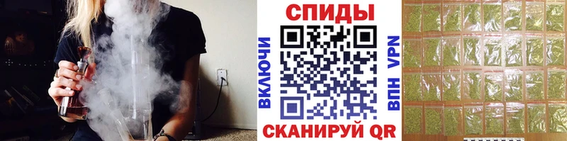 закладки Малоярославец Бутират буратино