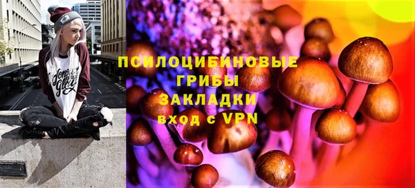 круглые Арсеньев