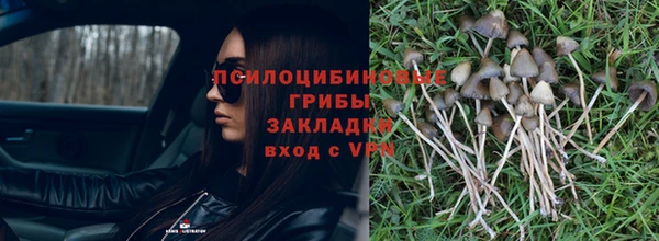 круглые Арсеньев